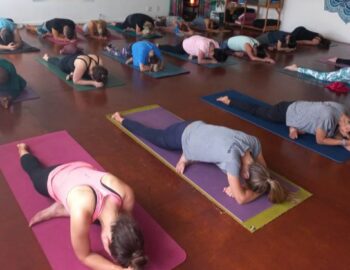 Chaitanya-School-of-Yoga-img1